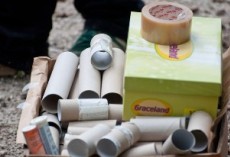 Nasedli kit 2011